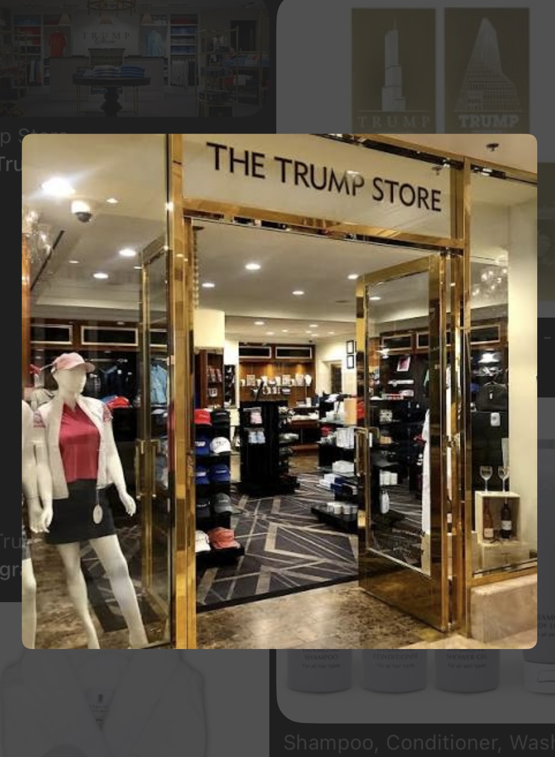 Wnętrze Trump Store