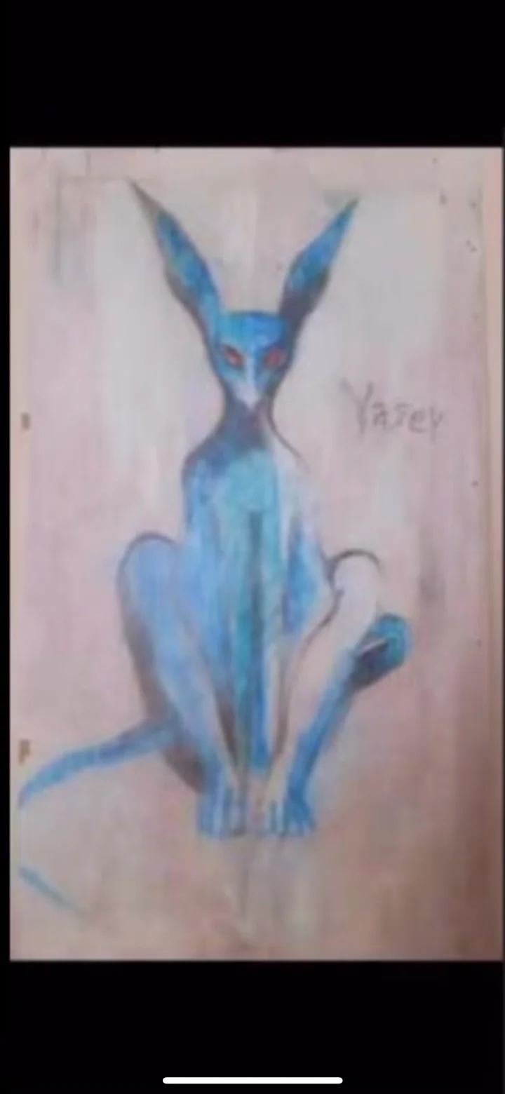 YaseY